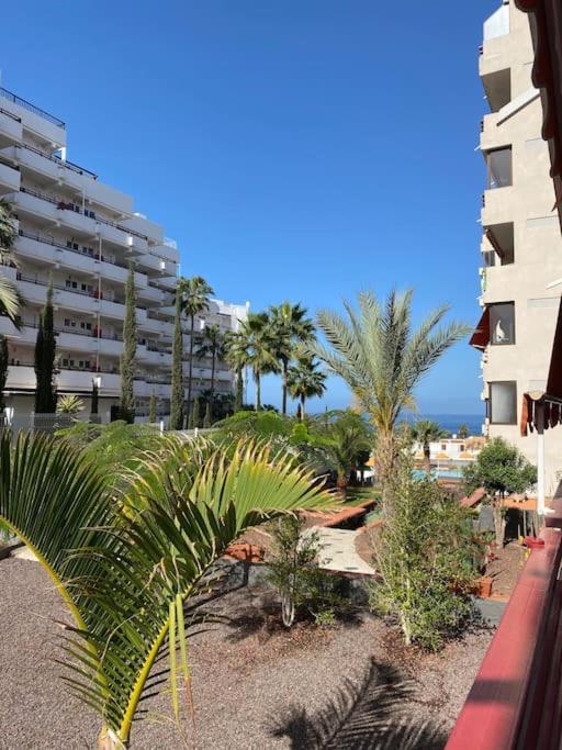 Delizioso Studio Residence Olympia A Playa De Las Americas المظهر الخارجي الصورة